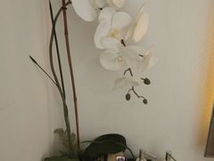 -Dragonfly悠庭·按摩Spa(浦东嘉里城店)