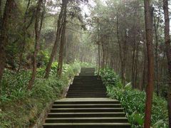 -铁山坪森林公园