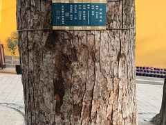 -西园戒幢律寺