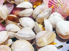 -胖子菜馆(隆昌路店)