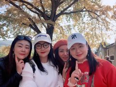 -千年银杏谷文化旅游区