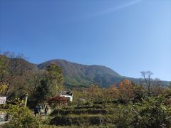 -塔川景区