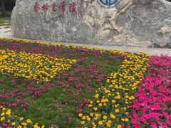 -秦始皇帝陵博物院-丽山园