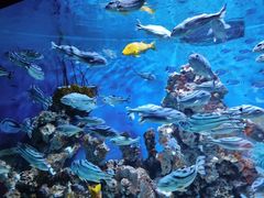 -海合安成都极地海洋公园