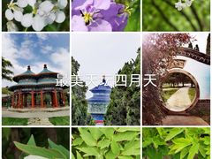 -天坛公园