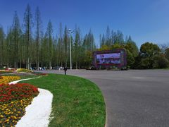 -东平国家森林公园