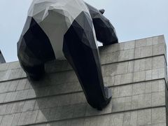 -成都IFS