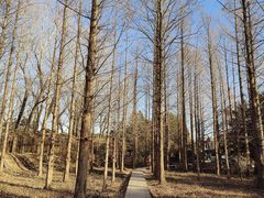 -国家植物园南园