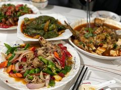 -煲来饱去冷水鱼