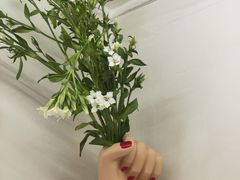 -LADY FAFA(巨鹿路陕西南路路口店)