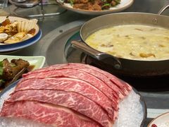 -金龙·打边炉(南京西路店)