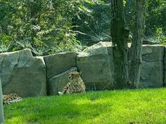 -北京野生动物园