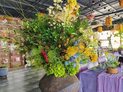 -元鼎宝驴香·全驴宴(江宁店)