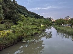 -飞凤山奥体公园