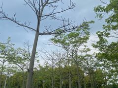 -广东花都香草世界旅游度假区