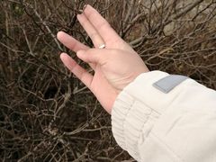 -紫金山索道-售票处