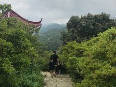 -广州市石门国家森林公园