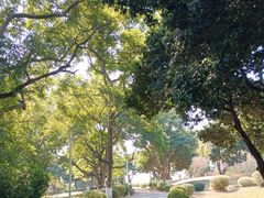-紫马岭公园