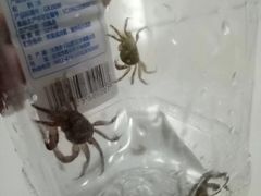 -刘家湾赶海园