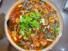 鱼蛋-飞虹鱼馆(春华路店)