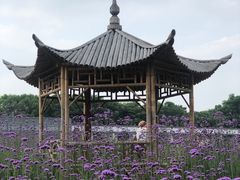 -杭州城北体育公园