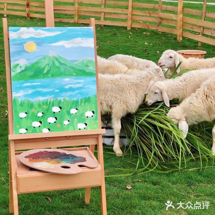 广州也有🌈霍比特小屋🧚‍♀️童话般的世界