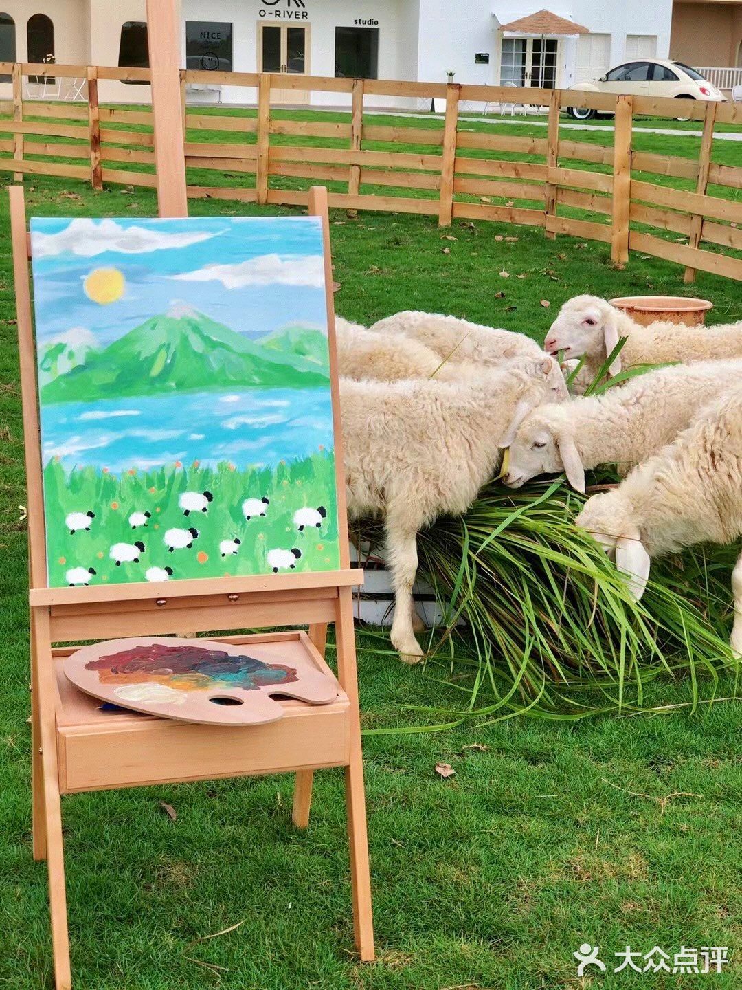 广州也有🌈霍比特小屋🧚‍♀️童话般的世界