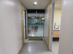 -谐和贝康宠物医院24小时·宠保定点(急重症转诊中心)