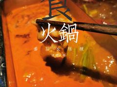 -渡娘火锅(大兴大悦春风里店)