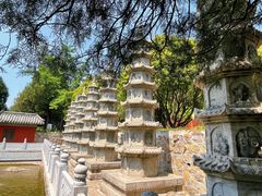 -泰山风景名胜区-普照寺