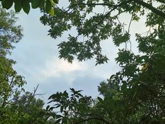 -阳台山森林公园