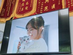 -顺强宠物诊所·狂犬免疫·夜诊·骨科(嘉定店)