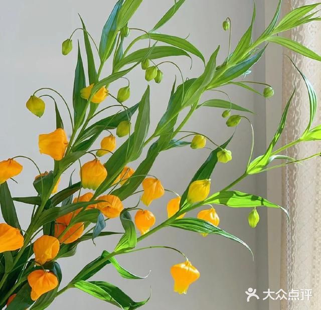 💢🌟鲜花中的爱马仕🌟💢