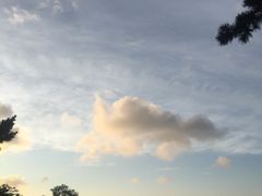 -浮山香苑