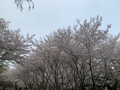 -白塘生态植物园