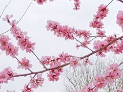 -三里河公园