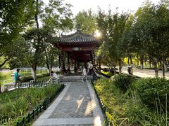 -莲湖公园