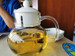 -墨脱石锅椰子鸡•香草鸭•东山羊(大东海店)