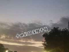 -福田红树林生态公园