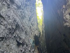 -武陵山森林公园