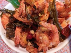 -菌自由丨野生菌火锅特色庭院餐厅(丽江古城店)