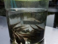 -苏州河梦清园环保主题公园