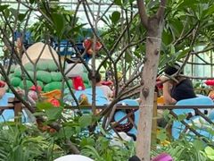 -南宫五洲植物乐园