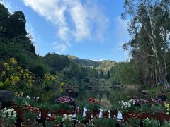 -深圳仙湖植物园