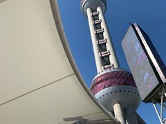 -东方明珠老上海8号餐厅(东方明珠广播电视塔店)