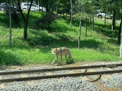 -秦皇岛野生动物园