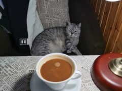 -隅cafe(傅厚岗店)