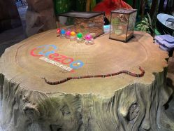 -酷嗒动物文化乐园(cutezoo西溪乐天城店)