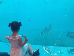 -瑞德姆美人鱼海底演艺主题餐厅(亚龙湾店)