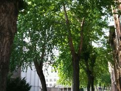 android_upload_pic-辽宁大学(崇山校区)